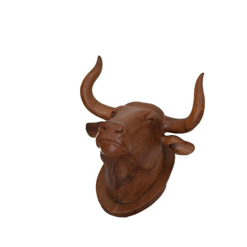 Bull Head in Teak wood 