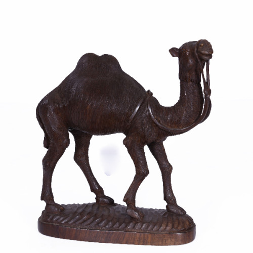 Camel Rose wood 12 inch 