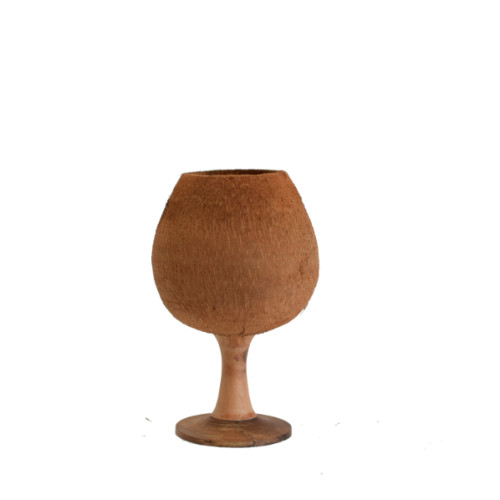 Coconut Husk flower pot