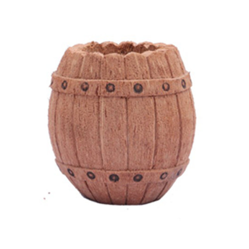 Coconut Husk parra with shell