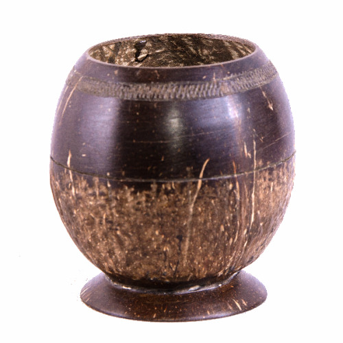 Coconut Pen Holder 