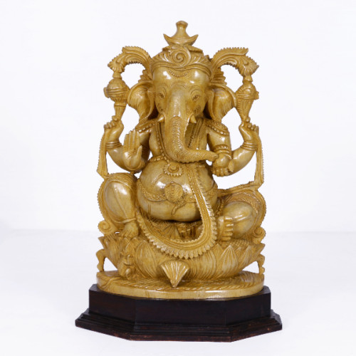 Gaensh 16 inch in white cedar wood 
