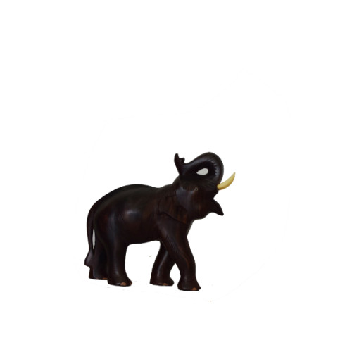 Rose wood Trunk Up Elephant 8 inch height X 9.5 inch width X 3.5 inch depth 
