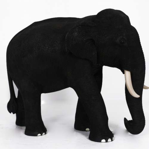 Skinned Elephant 18 inch with Rain tree wood 